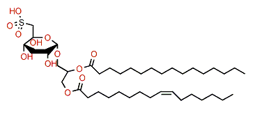 2-O-Hexadecanoyl-1-O-(9Z-hexadecenoyl)glycerol 3-(6-deoxy-6-sulfo-a-D-glucopyranoside)